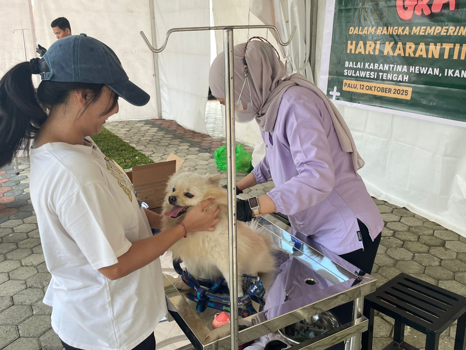Barantan Sulteng Gelar Vaksinasi Rabies Gratis, Tekan Risiko Penularan di Daerah Endemis