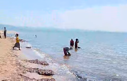 Warga Tolitoli Ramai-ramai Jadi Penambang di Pantai Tinabogan, Benarkah Ada Emas?