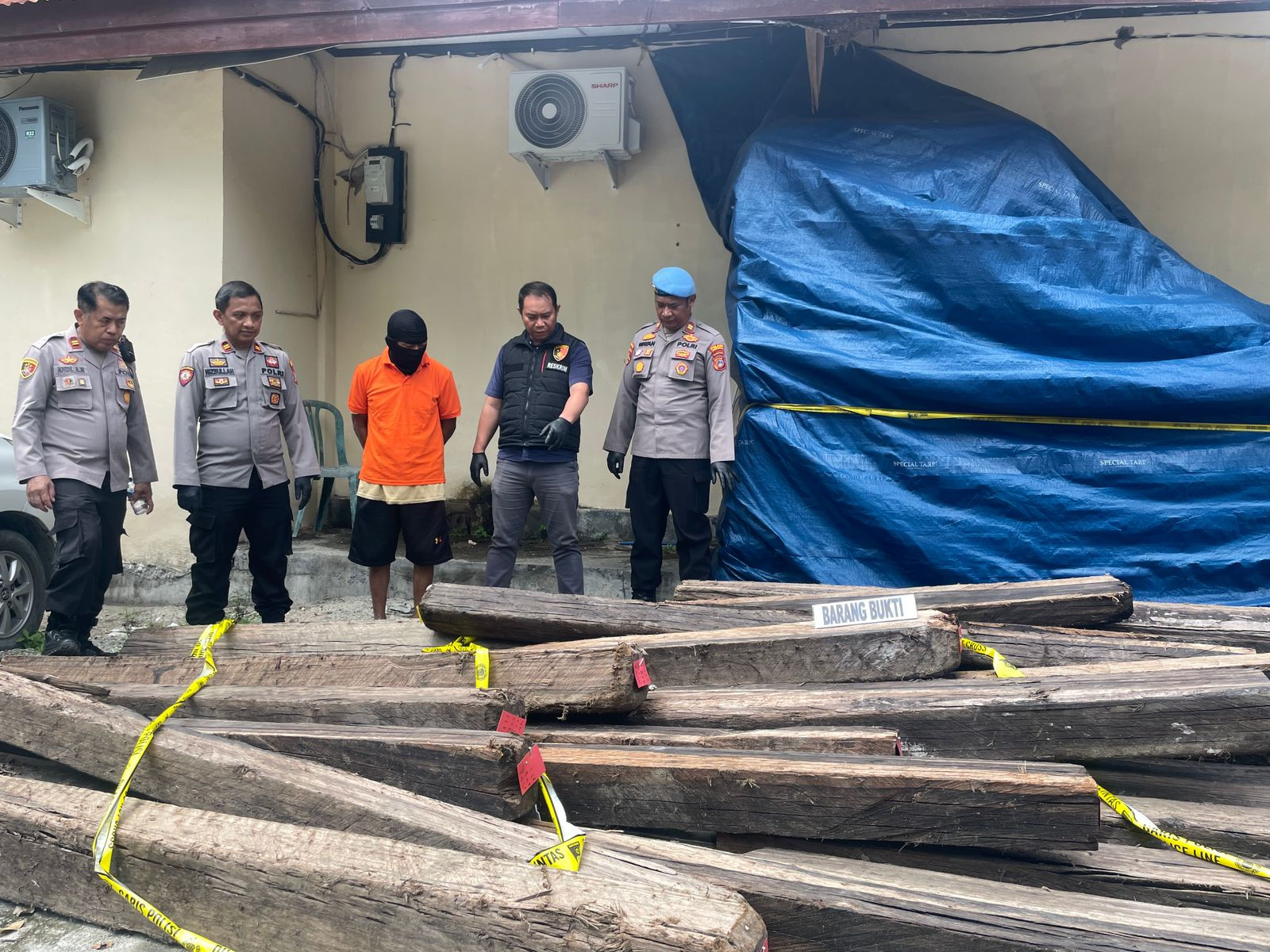 33 Batang Kayu Disita, Penebang Liar di Donggala Ditangkap Polisi