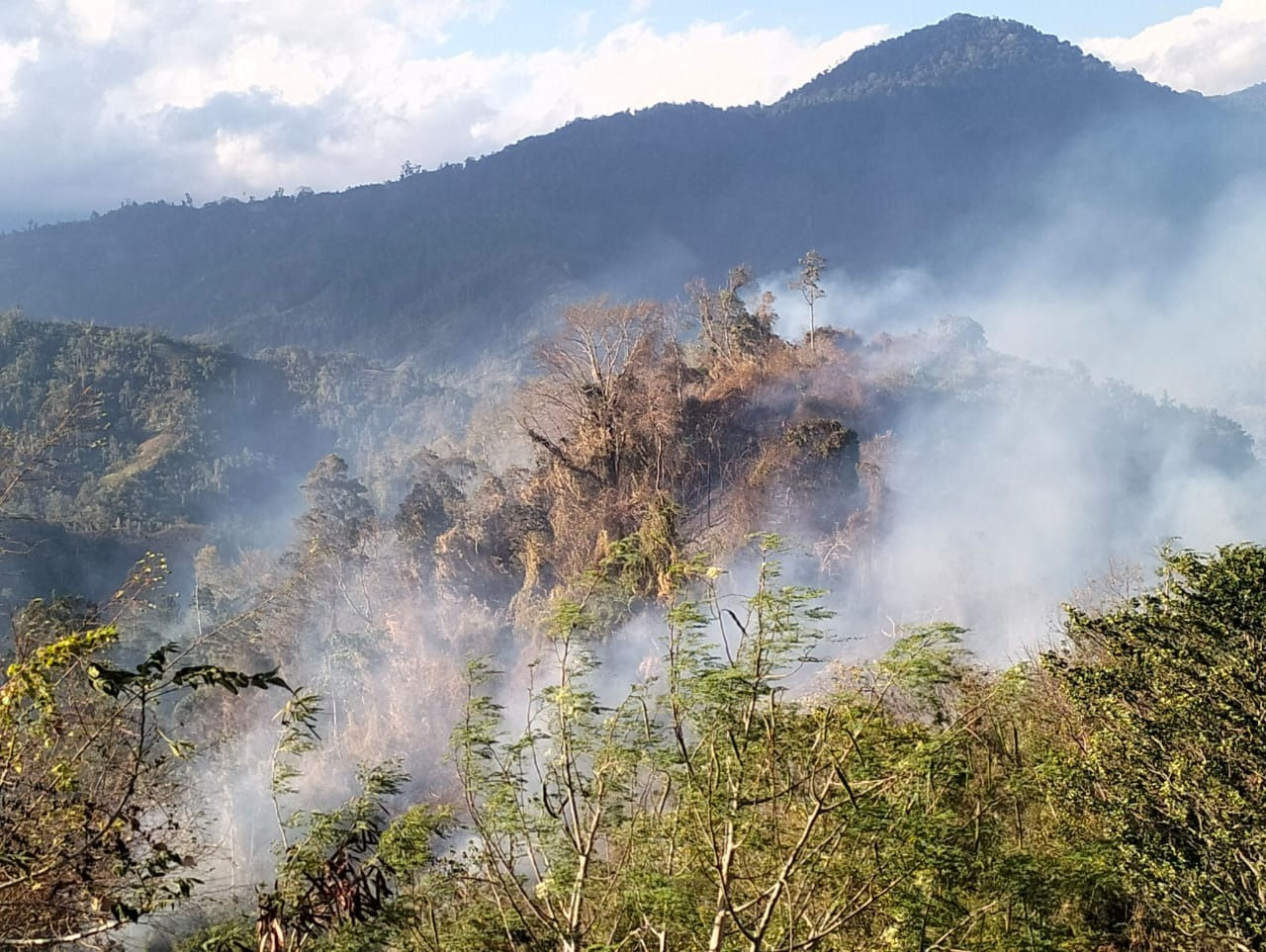 WhatsApp_Image_2026-01-19_at_11_05_32.jpg