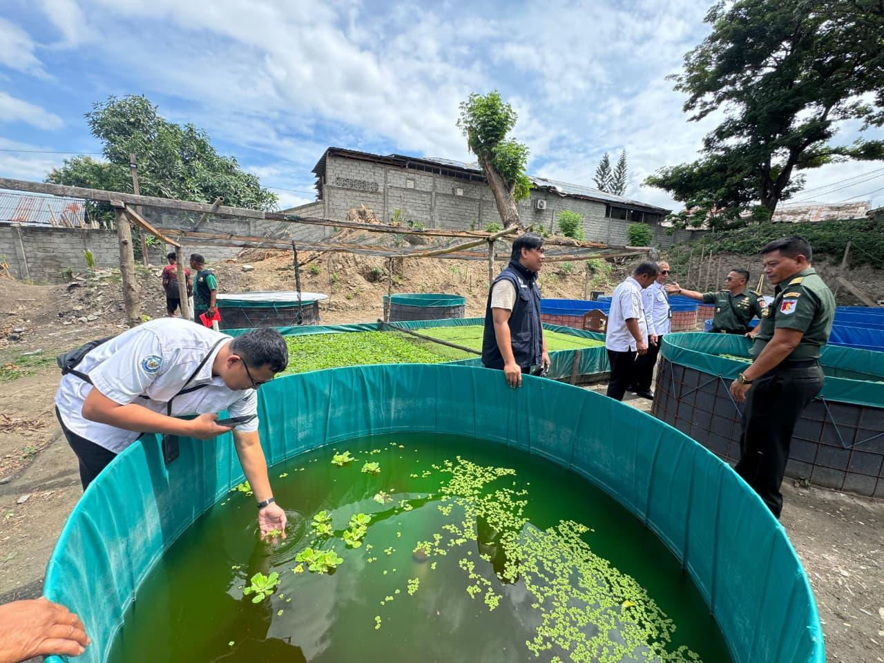 Paldam Palu Kembangkan 14 Ribu Lele Sistem Bioflok
