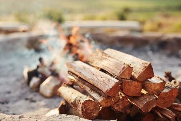 istockphoto-1300167689-612x612.jpg