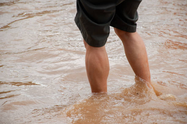 Sulteng Masuk Deretan Provinsi Paling Sering Banjir di Indonesia